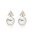 Astral Cluster Studs in Rose Gold with Akoya Pearls-AEWRRG1341-1