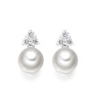 Astral Cluster Studs in White Gold with Akoya Pearls-AEWRWG1336-1