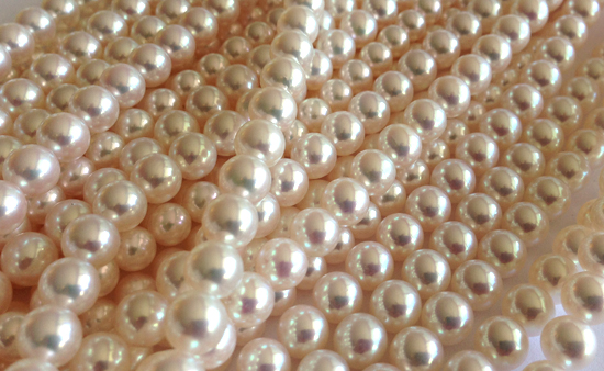 Akoya Pearls