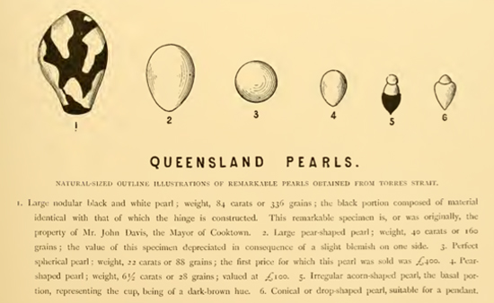 Queensland Pearls